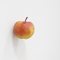 http://www.carolinanitsch.com/files/gimgs/th-312_Sander-Apple-crop-lr.jpg