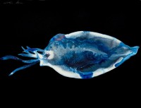 https://www.carolinanitsch.com/files/gimgs/th-291_ROC-0023-Untitled-Squid-Larvae-2_v2.jpg